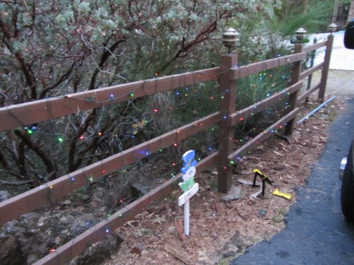 Christmas decorations at Bass Lake 