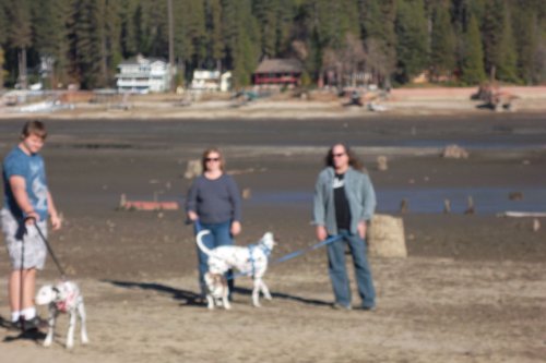 Family walking in the lake bed 