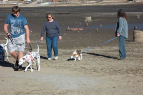 Family walking in the lake bed 