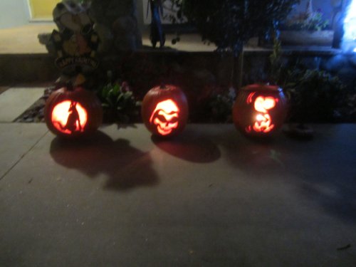 Pumpkins for Halloween 