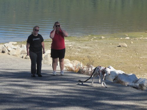 Dixie beginning her run back to the car 