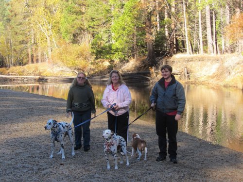 Family and dogs by the river 