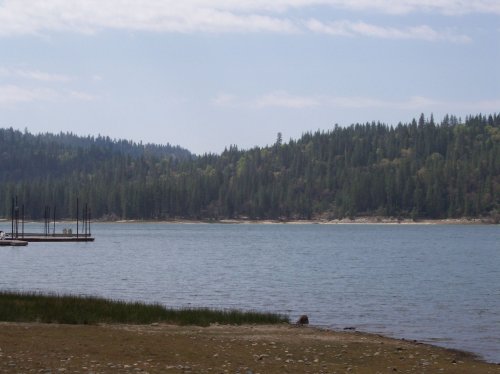 Looking south across Bass Lake 