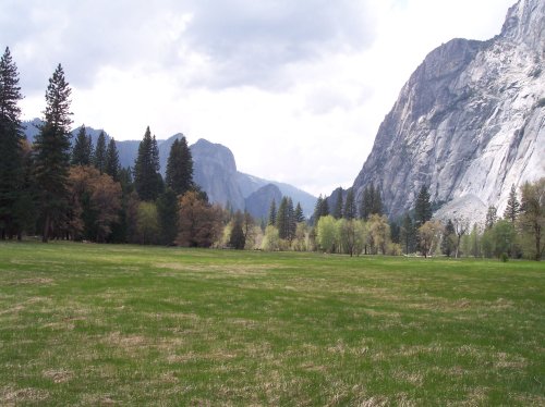 A meadow in Yosemite Valley looking west 