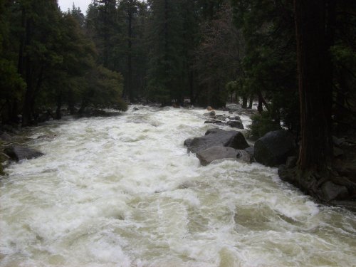 Raging stream at Yosemite falls 