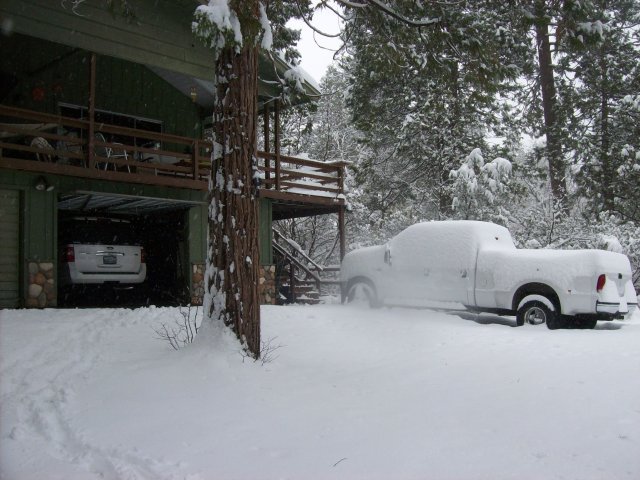 Morning snow at the cabin 