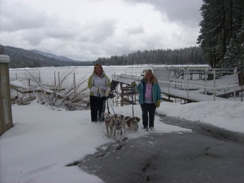 Mom, Melissa, Dixie, Lucky and Riley 