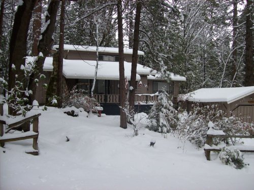 Kim's place covered in snow 