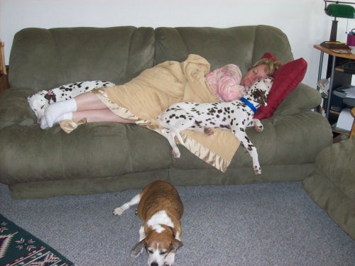 Dixie, Lucky, Riley and Lori relaxing 