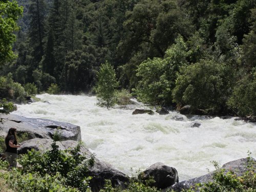 Merced River in El Portal 