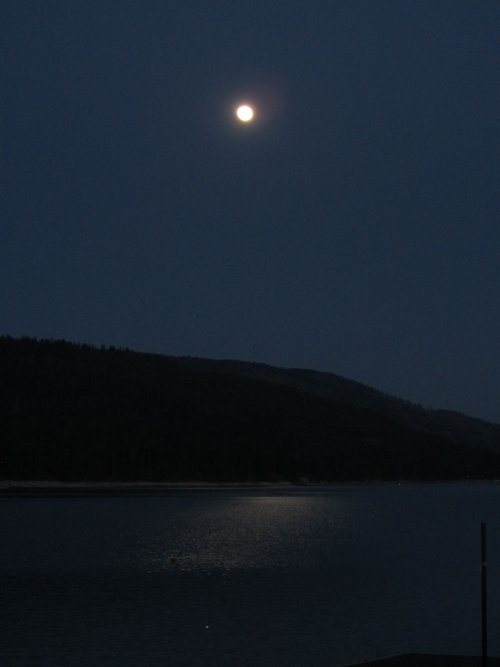 Full Moon over Bass Lake 