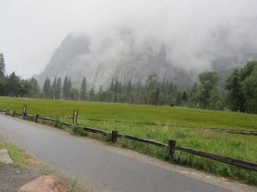 Meadow in the valley 