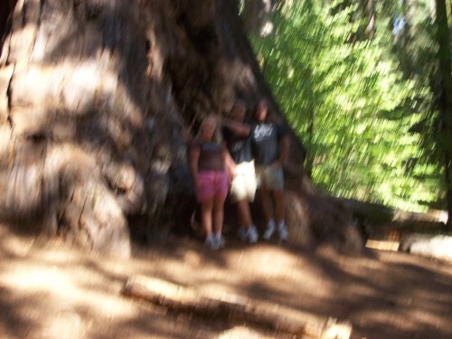 Family at tree in Nelder Grove 