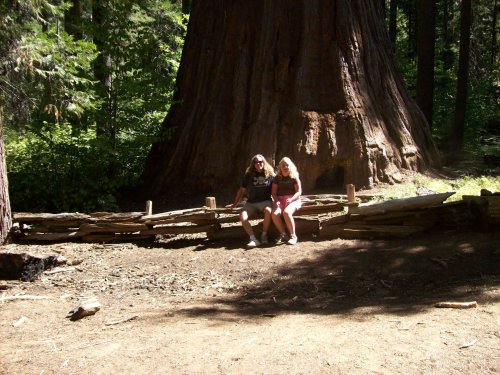 Jon & Melissa at Bull Buck tree 