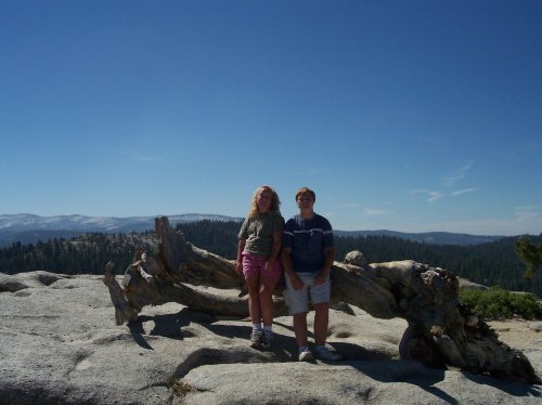 Kids by tree on top of Sentinel Dome 