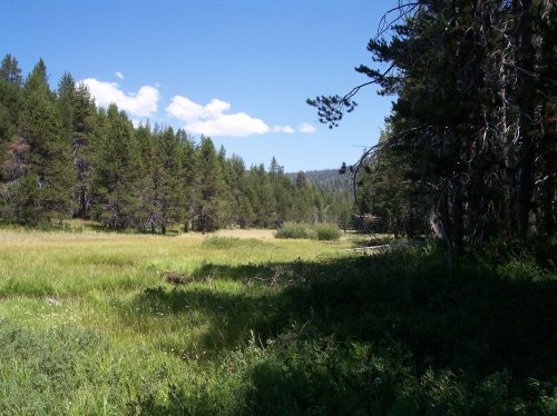 McGurk Meadow 