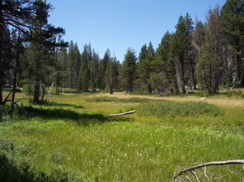 McGurk Meadow 