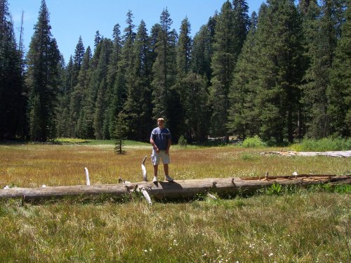 Jonny on tree in meadow 