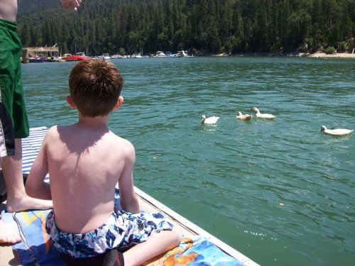 Jake feeding ducks 