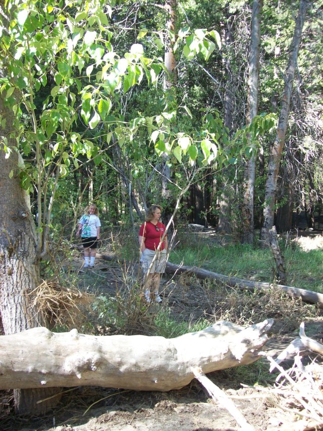 Mom and Missy hiking through woods 