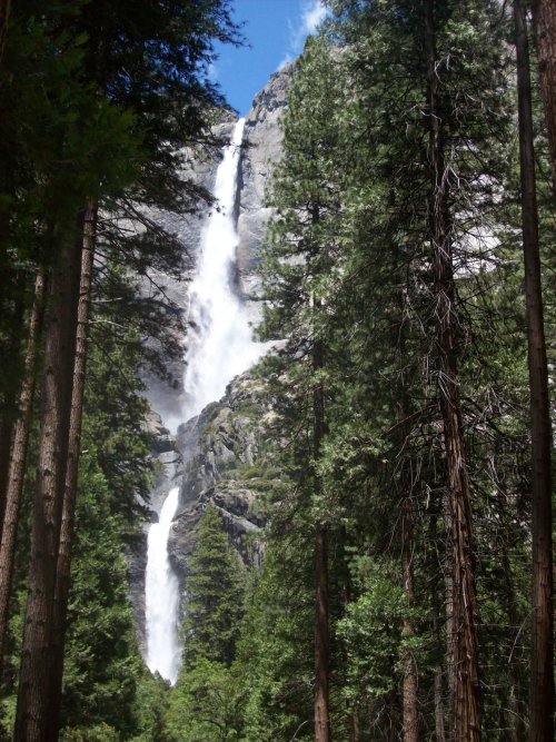 Yosemite Falls 