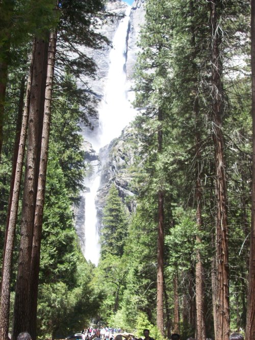 Yosemite Falls 