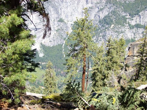Yosemite Valley 