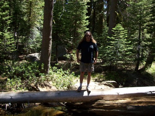Dad taking log bridge across stream 