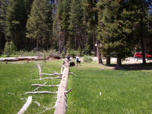 Family on log in meadow 