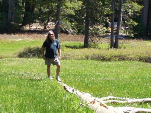 Dad on log 