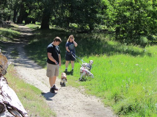 Jonny and mom walkin dogs 