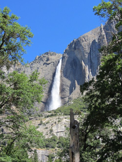 Yosemite Falls 