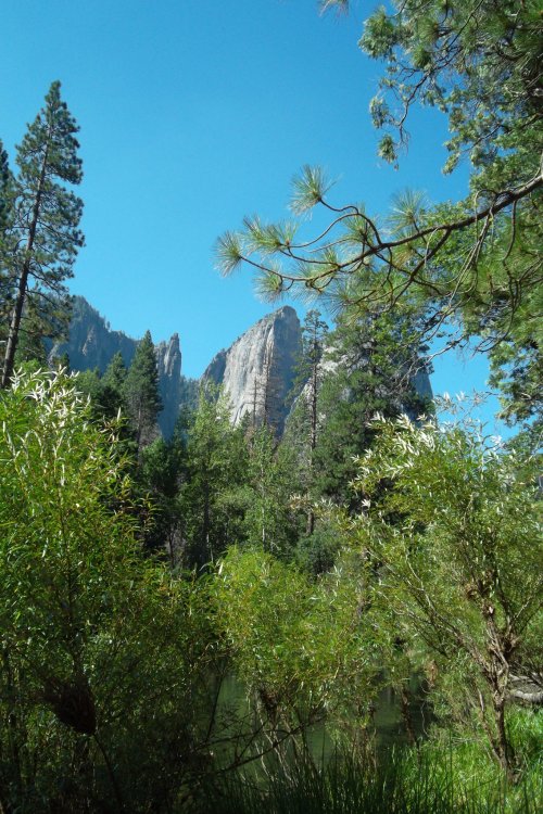 Cathedral Spires 