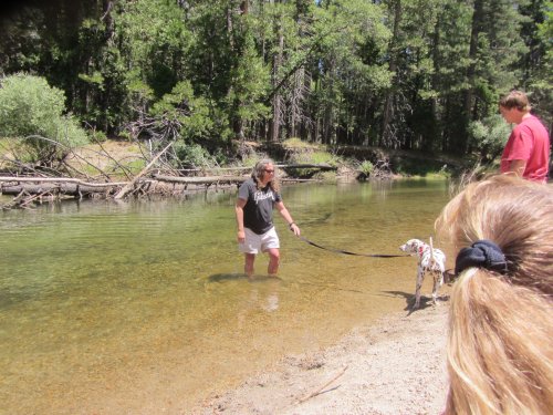 Family at the river 