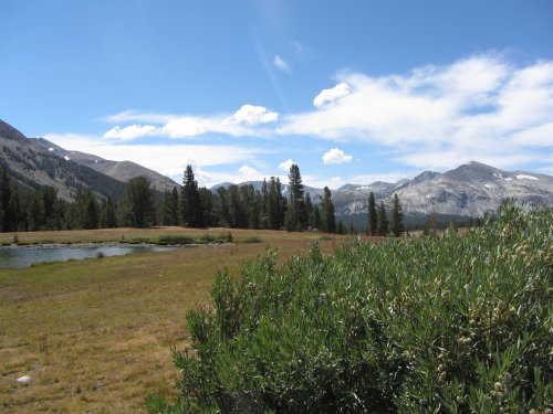 High country at Tioga pass 