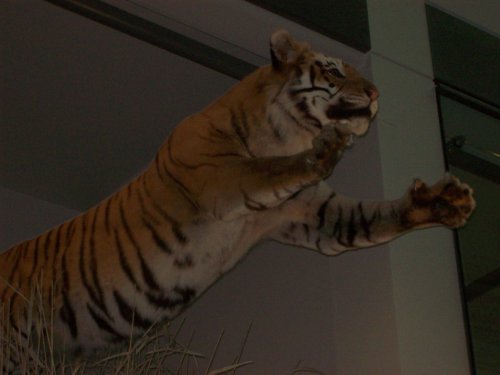 Jonny on new scooter 