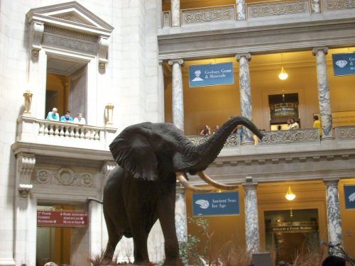 Jonny cleaning out fireplace 
