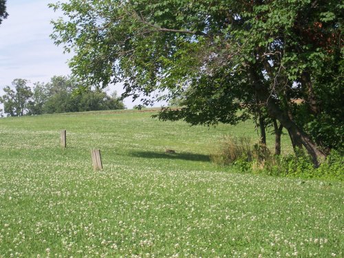 Grounds at Mount Vernon 