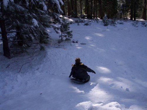 Last snowball fight of the season 