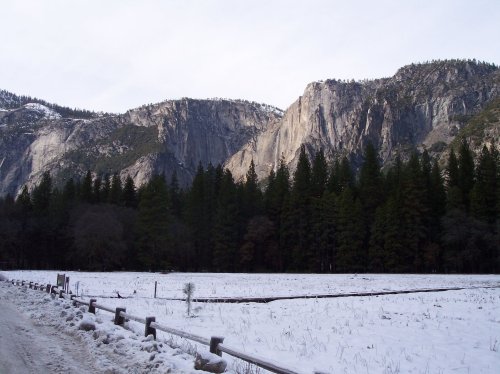 Melissa throwing rocks in the river 