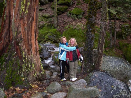 Dixie, Lucky and headless dad in Yosemite 