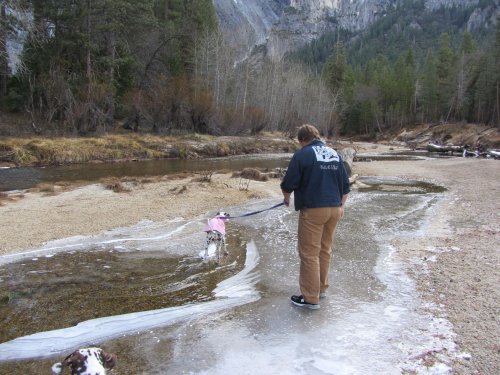 Jonny and Dixie on ice 