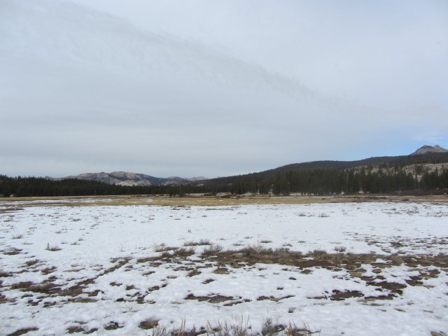 Tuolome Meadow 
