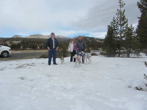 Family at Tuolome Meadow 