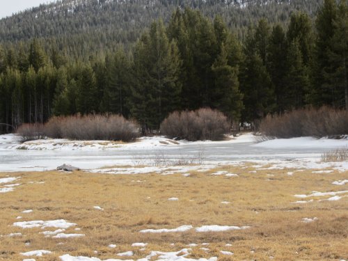 Frozen river at Tuolome Meadow 