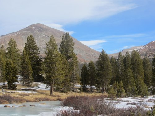 Frozen river near Tioga Pass 