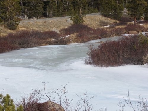 Frozen river near Tioga Pass 