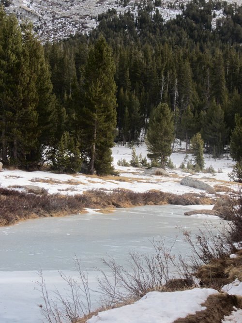 Frozen river near Tioga Pass 
