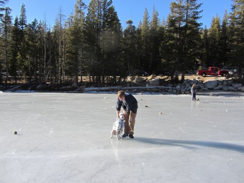 Jonny and Lucky on ice 