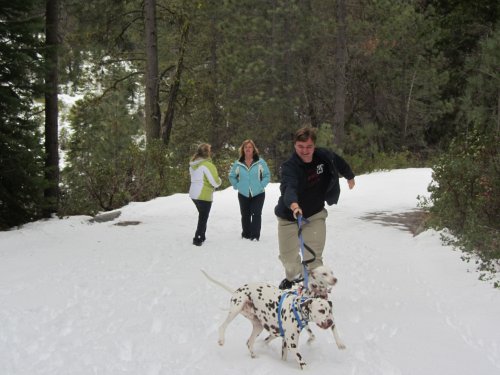 Dogs dragging Jonny through the snow 